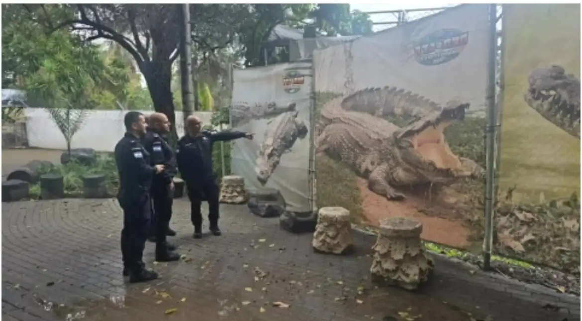 Israel Berencana Gunakan Buaya untuk Jaga Tahanan Palestina