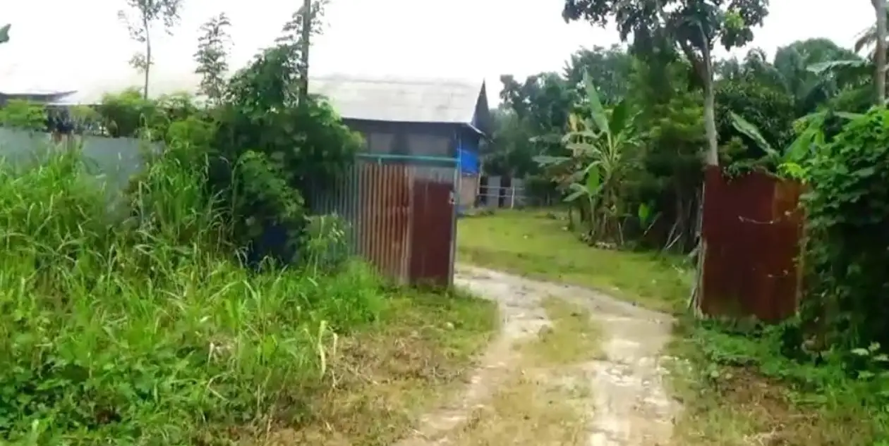 Kandang Ayam Bertahun-tahun di Hamparan Perak Disoal Warga,Lalat, Bau Bau Tak Sedap,Transparansi Pajak dan Pengelolaan Limbah Dipertanyakan
